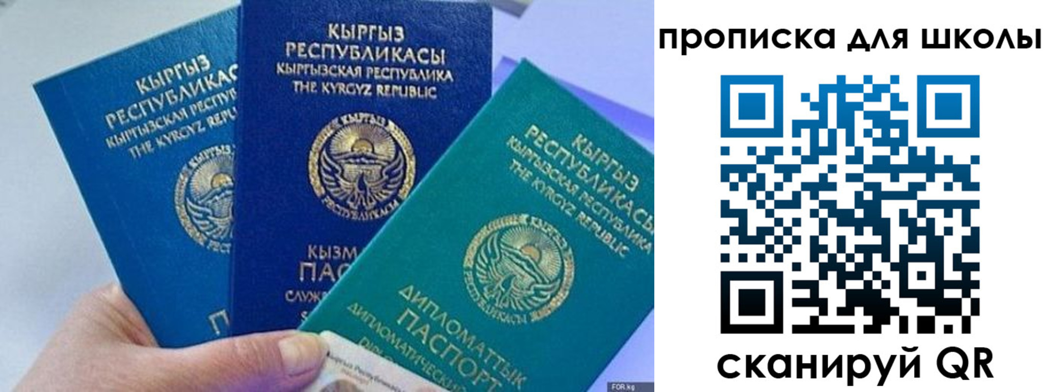 прописка регистрация в Гае